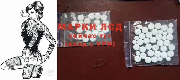 крисы Зерноград