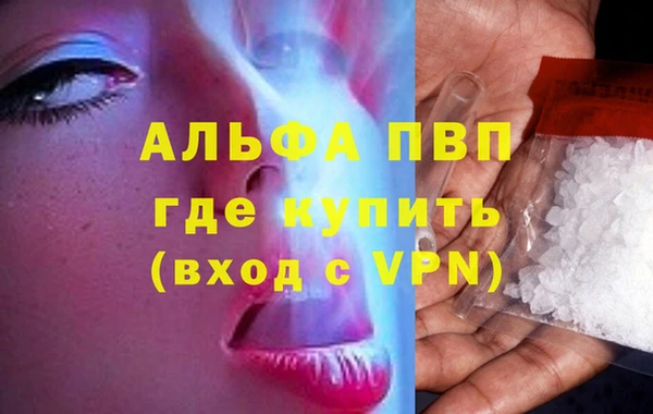 крисы Зерноград