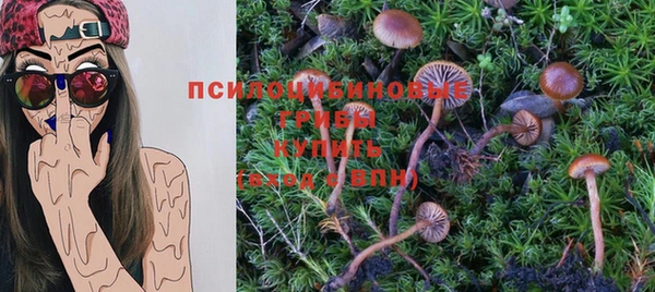 крисы Зерноград