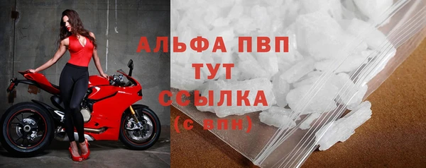 крисы Зерноград
